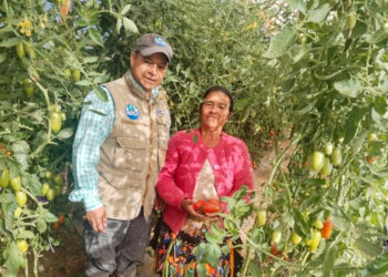 Apoyo tecnológico transforma labor de agricultora de San Marcos