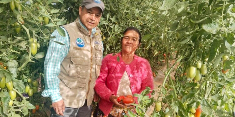 Apoyo tecnológico transforma labor de agricultora de San Marcos