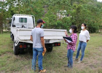 Emitirán licencias sanitarias de transporte en Petén