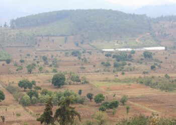 Empieza el calor esta semana