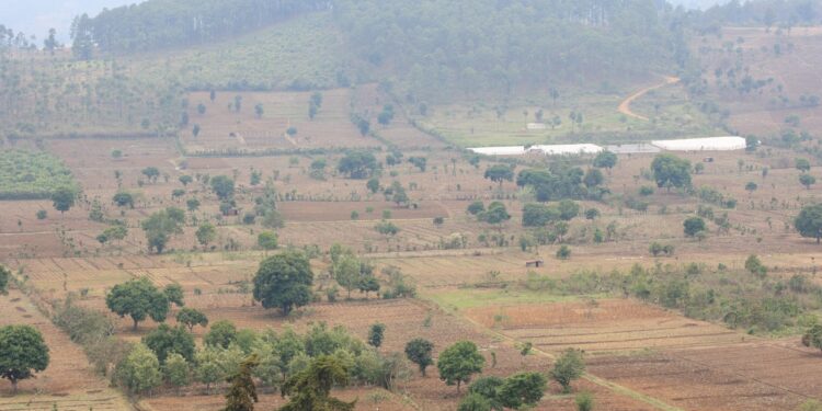 Empieza el calor esta semana