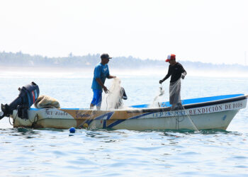 Establecen periodos de veda para el Caribe guatemalteco