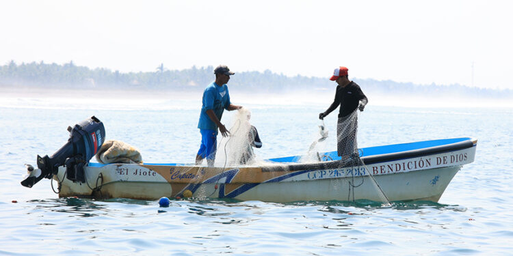 Establecen periodos de veda para el Caribe guatemalteco
