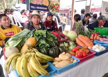 Impulsan alianzas estratégicas entre productores agrícolas locales y OPF