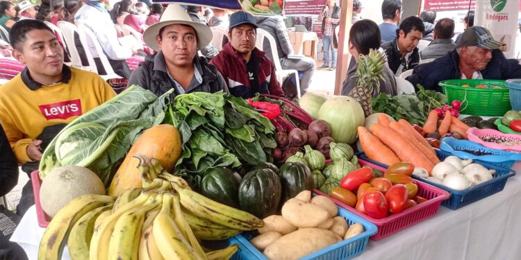 Impulsan alianzas estratégicas entre productores agrícolas locales y OPF