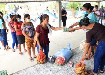 Más de 25 mil agricultores serán beneficiados con el Programa de Alimentación Escolar