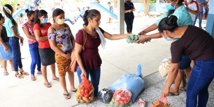 Más de 25 mil agricultores serán beneficiados con el Programa de Alimentación Escolar