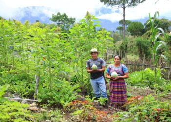 Optimizar la agricultura familiar es una prioridad