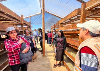 Productores de café intercambian experiencias para mejorar producción