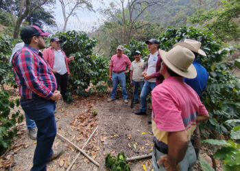 Productores del corredor seco aprenden a fortalecer cultivos