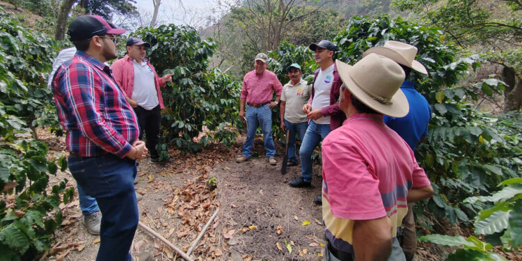 Productores del corredor seco aprenden a fortalecer cultivos