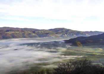 Proteja sus cultivos y animales de las bajas temperaturas