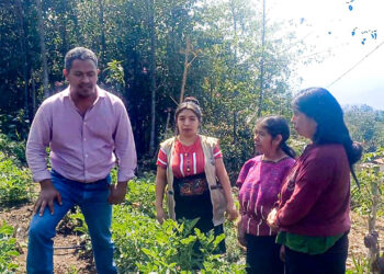 Reciben insumos y asistencia técnica para mejorar producción de papa