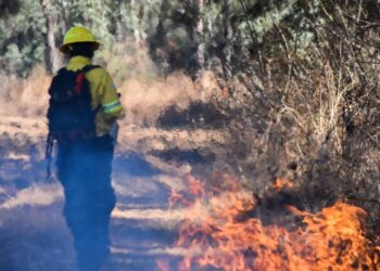 Socialización de acciones en prevención de incendios forestales en Petén