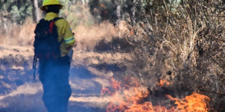 Socialización de acciones en prevención de incendios forestales en Petén