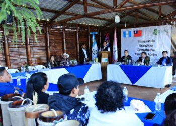 El uso del bambú en la agricultura