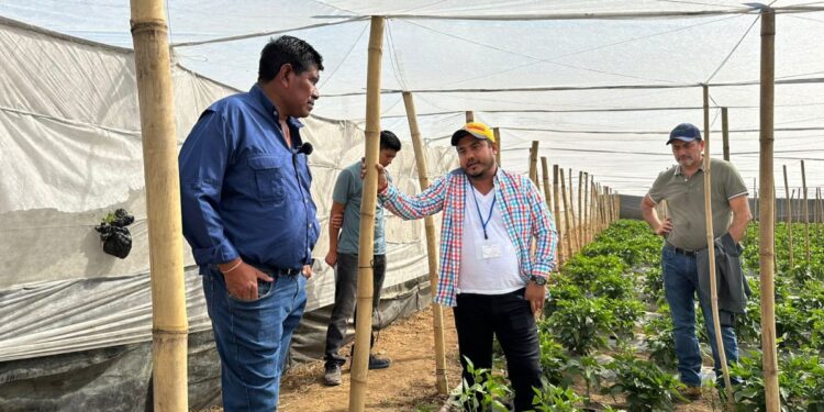 MAGA promueve nuevos mercados para pequeños productores agrícolas