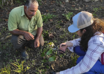 MAGA apoya a productores para obtener planes de manejo forestal