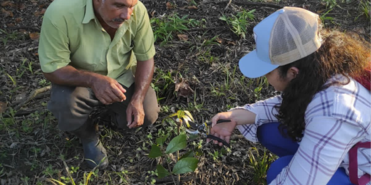 MAGA apoya a productores para obtener planes de manejo forestal