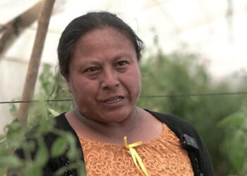 Agricultoras de San Antonio Palopó son ejemplo de trabajo