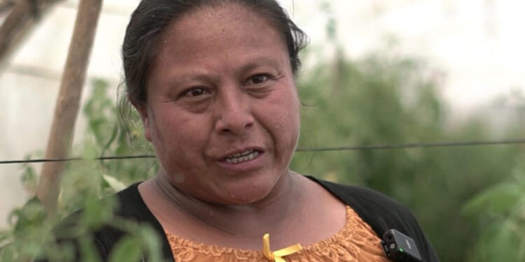 Agricultoras de San Antonio Palopó son ejemplo de trabajo