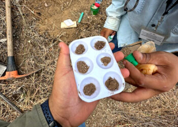 Conocer composición de suelos permite saber qué sembrar