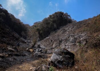 Familias de las y los agricultores serán atendidas con la entrega de alimentos