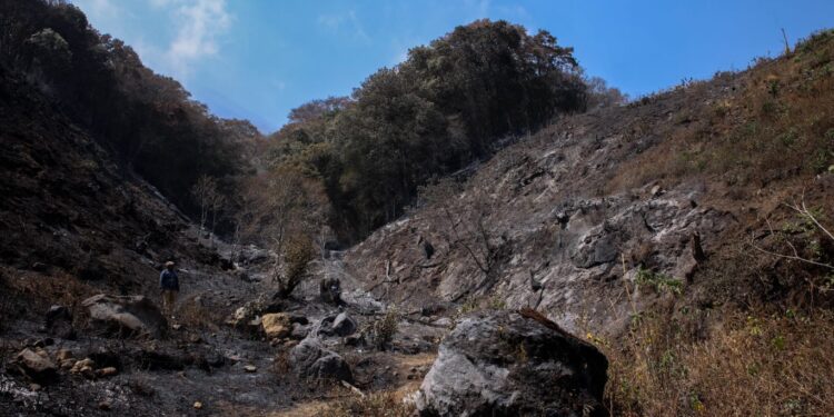 Familias de las y los agricultores serán atendidas con la entrega de alimentos