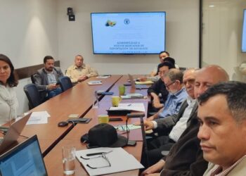 Analizan impulso de la Agrocadena de Aguacate para que ingrese a nuevos mercados de exportación