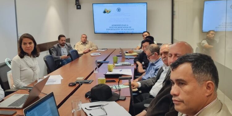 Analizan impulso de la Agrocadena de Aguacate para que ingrese a nuevos mercados de exportación