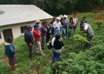 Aprenden procesos de conservación de suelos
