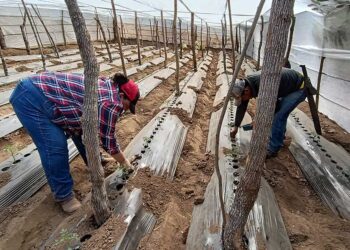 Aprenden uso adecuado de agroquímicos
