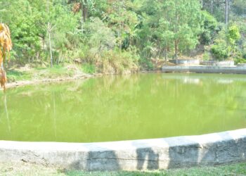 Aproveche las lluvias para captación de agua