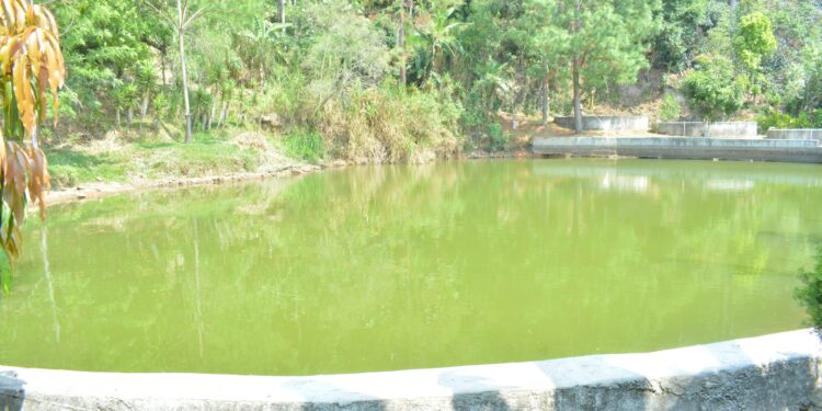 Aproveche las lluvias para captación de agua