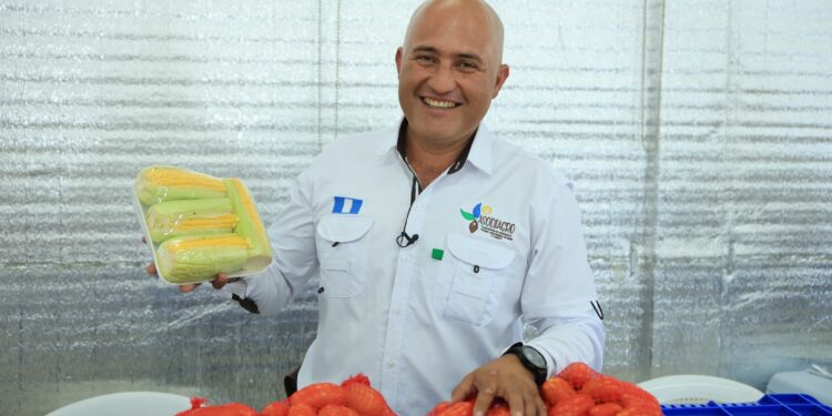 Asociaciones de productores posibilitan el desarrollo agropecuario