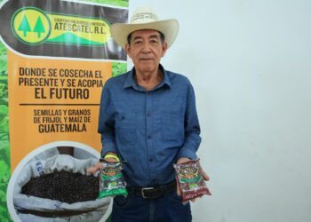 Proveen alimentos al Programa de Alimentación Escolar