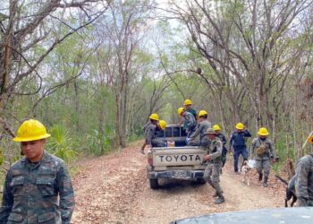 COE de Petén en alerta por incendios forestales