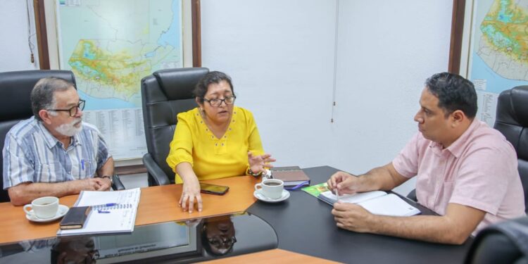 Definen ruta de trabajo para aumentar la producción de miel