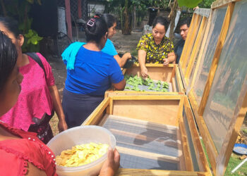 Deshidratación de Alimentos impulsará economía en Petén