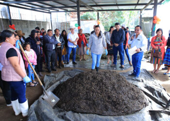 El abono orgánico enriquece el suelo y los cultivos