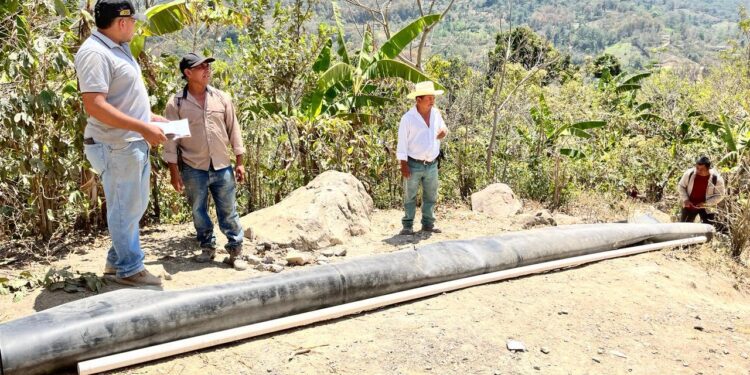 Elaboran estanques para el cultivo de tilapia