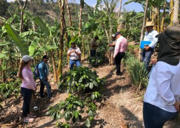 Enseñan prácticas de conservación de suelos en el corredor seco
