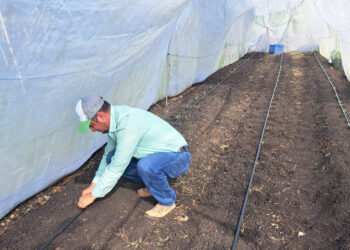 Establecen proyecto de infraestructura productiva en Petén