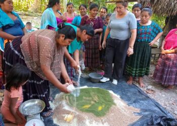 Familias rurales son capacitadas en buenas prácticas agrícolas