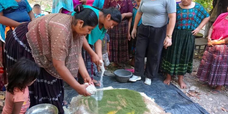Familias rurales son capacitadas en buenas prácticas agrícolas