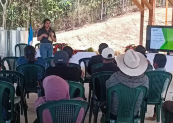 Las y los floricultores aprenden a calcular costos de producción