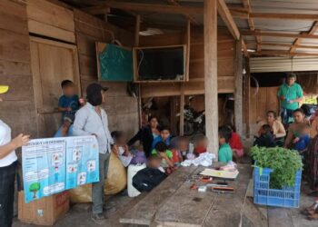 Fortalecen acciones para prevenir incendios forestales en Petén