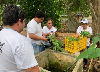 Huertos familiares mejoran alimentación de familias de Petén