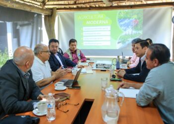 Implementarán técnicas de agricultura moderna en el altiplano