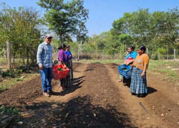 Impulsan creación de huertos en Petén
